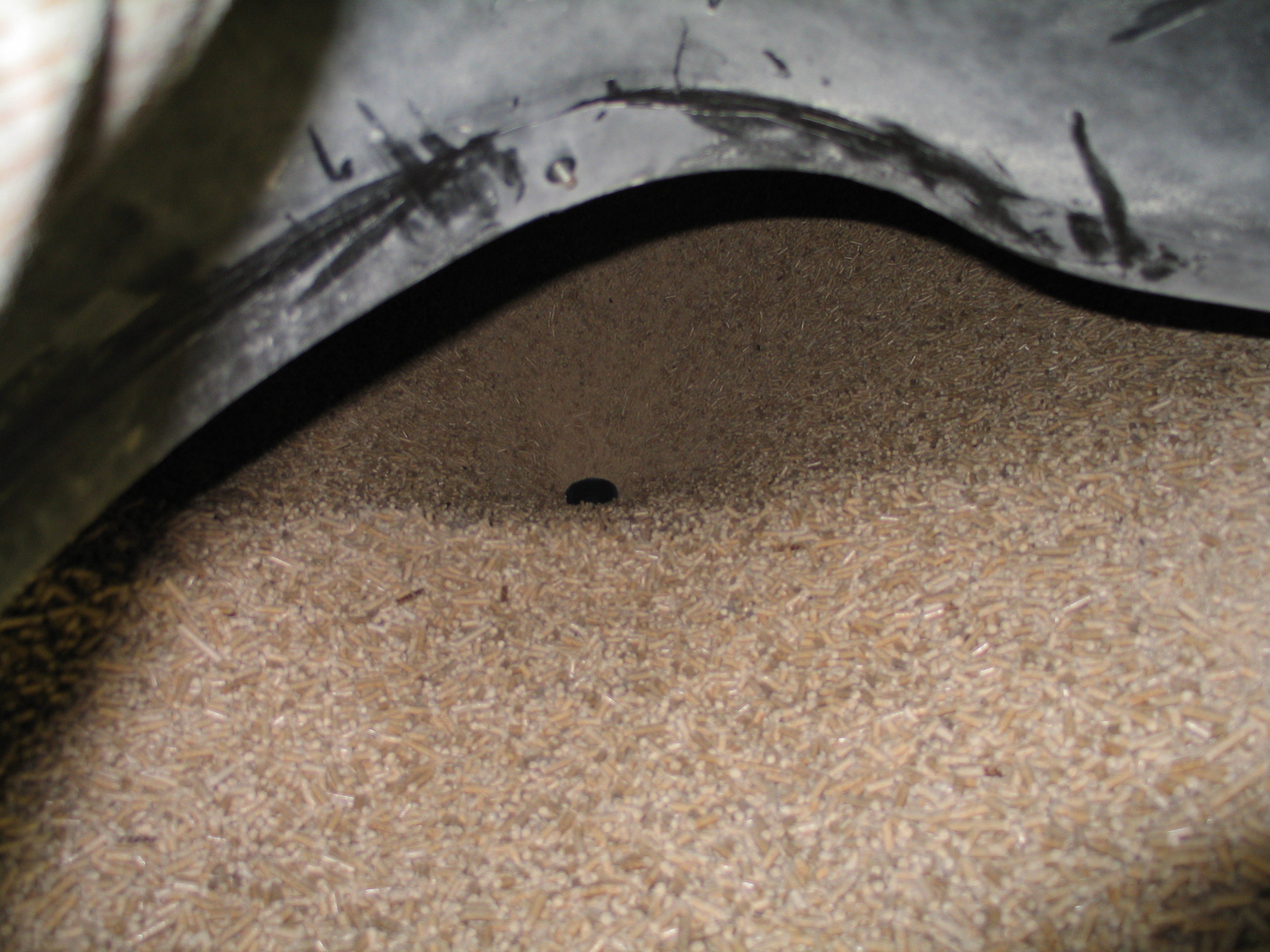 Holzpellets im Pelletlager vor der Reinigung in der Region Landsberg am Lech